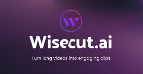 Wisecut
